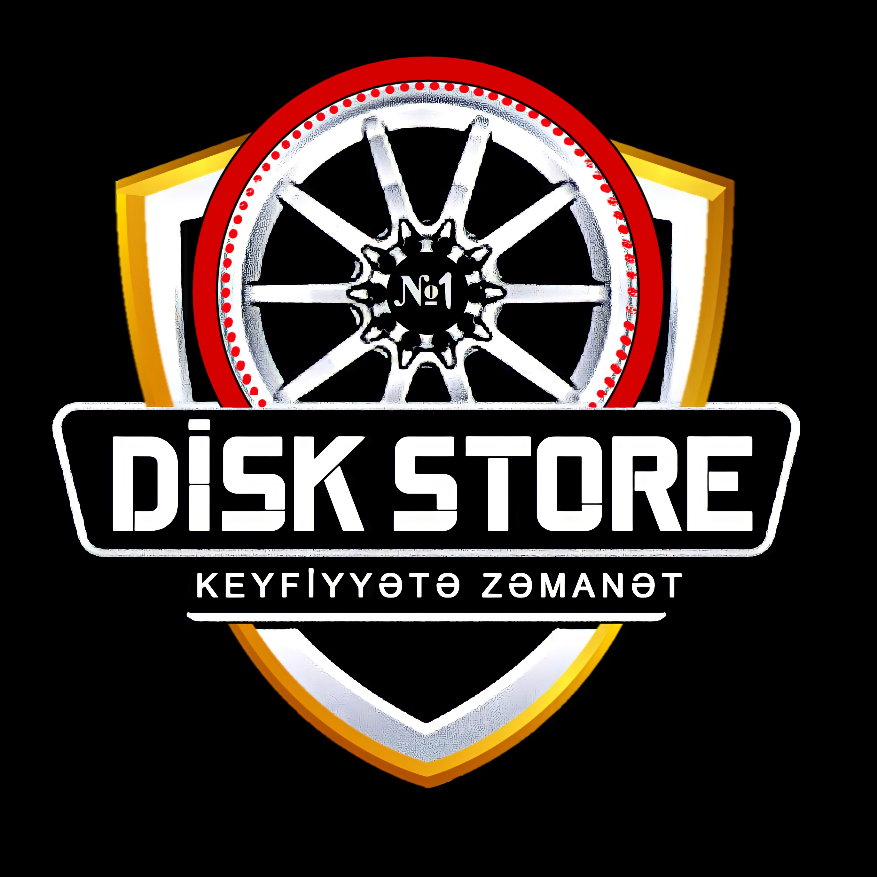 DiskStore N1